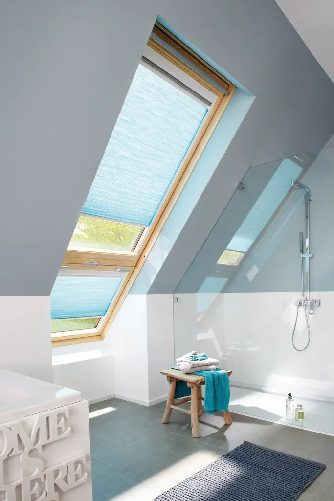 Type D — Inclined Windows